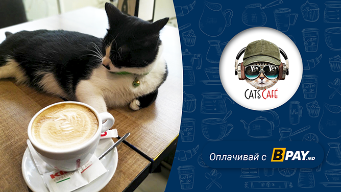 Используйте современный способ оплаты кошельком BPAY теперь и в Cats Cafe