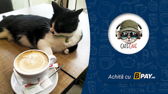 Folosește o metodă nouă de plată, cu portofelul BPAY, acum și la Cats Cafe